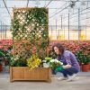 Raised Garden Bed Planter Box with 71-inch High Trellis