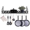 Wall Mounted Kitchen Pot Rack with 12 Hanging Hooks